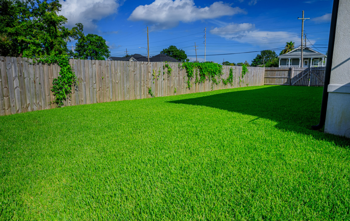 fenced in backyard with grass