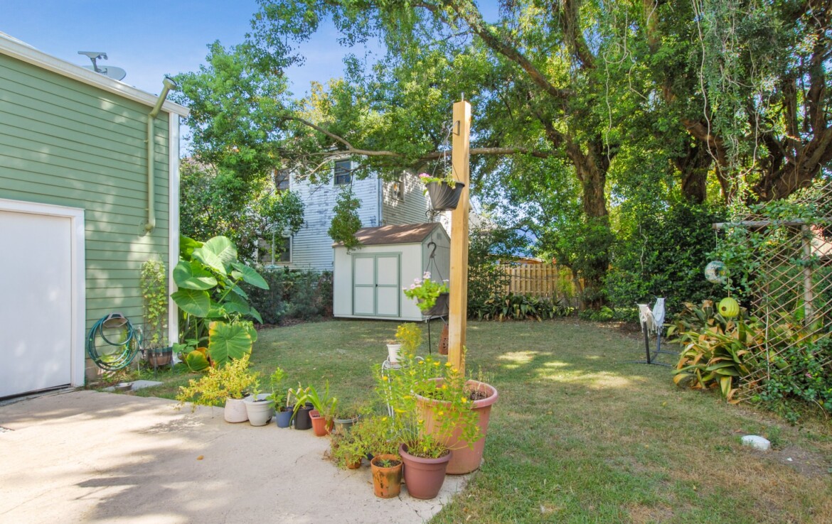 backyard garden